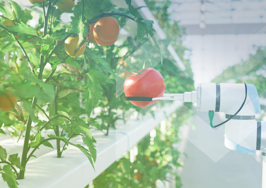 Agritech in 2025: positioned for growth